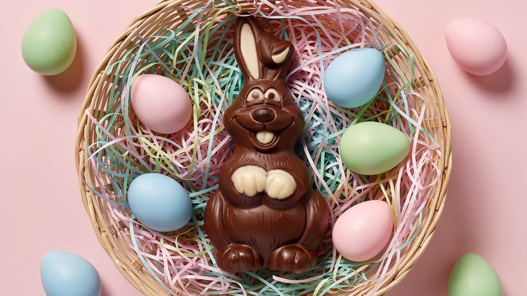 Hollow Vegan, Chocolate Easter Bunny | Gluten Free Chocolate for